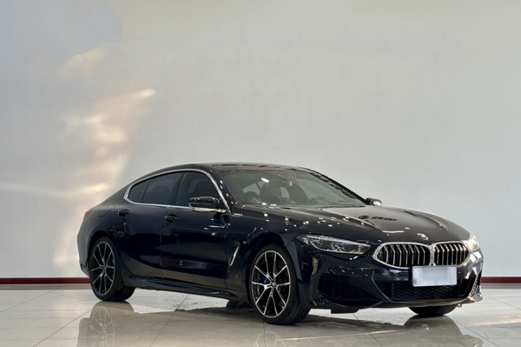 BMW 8 Series 2022 #7 BMW 8 Series 2022 car image #7