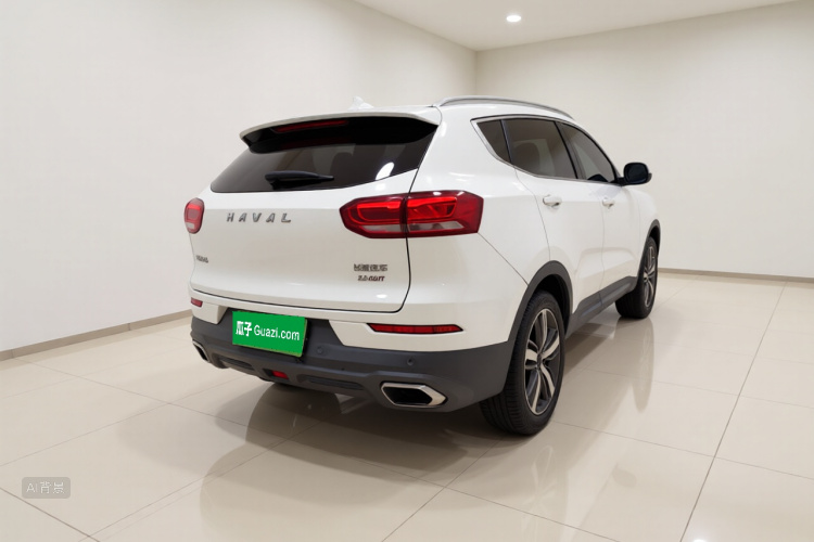 Haval H6 2017 car image #7