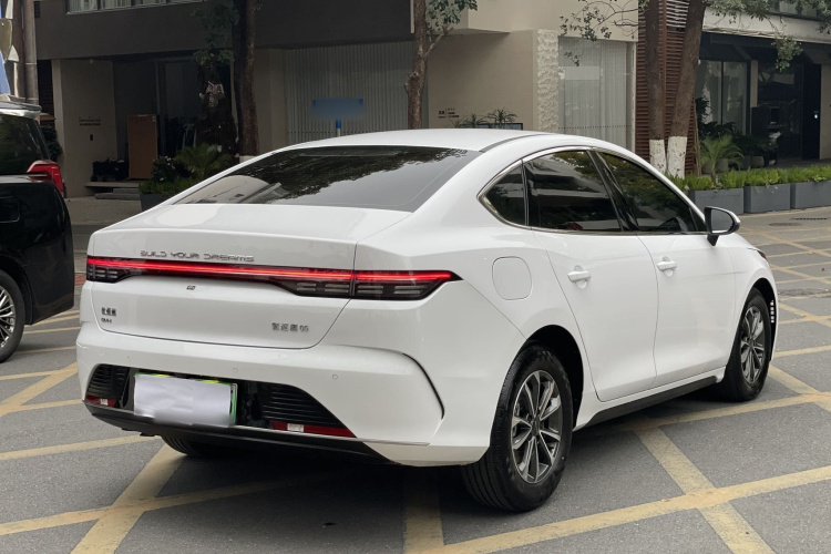 BYD Destroyer 05 2024 car image #7