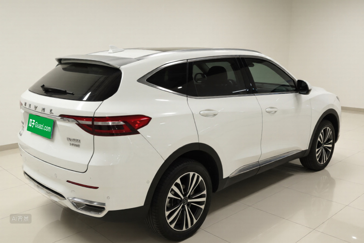 Haval F7 2019 car image #7