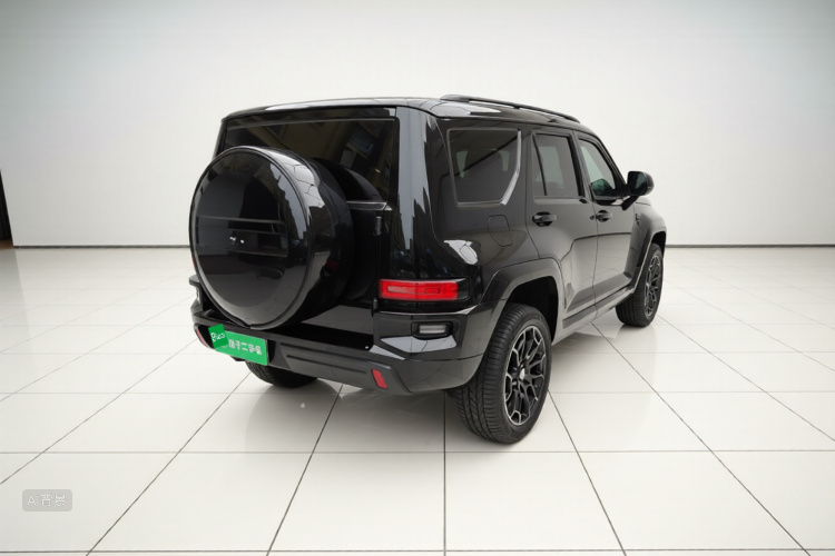 Tank 700 New Energy 2025 #7 Tank 700 New Energy 2025 car image #7