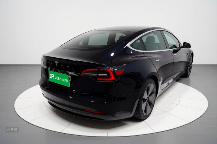 Tesla Model 3 2021 car image #7