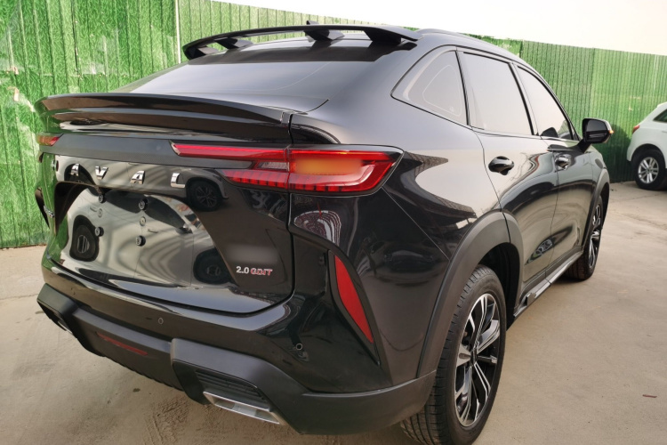 Haval H6S 2023 immagine di auto #7