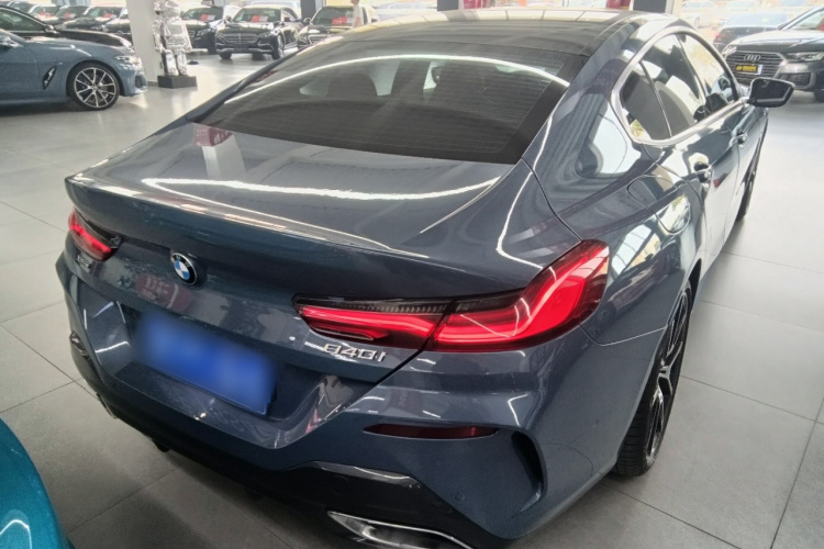 BMW 8 Series 2020 car image #7