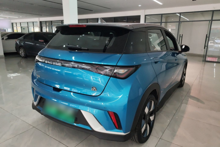 BYD Dolphin 2024 car image #7