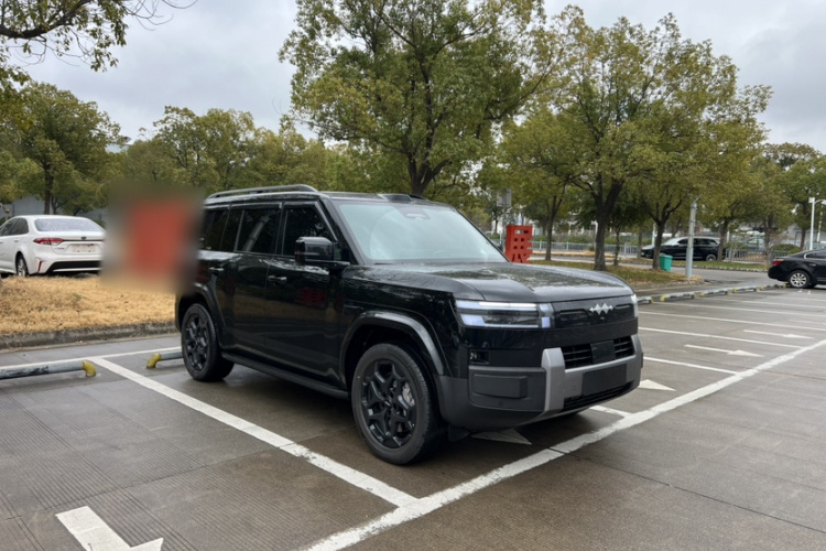 FangChengBao Tiger 7 2025 #7 FangChengBao Tiger 7 2025 immagine di auto #7