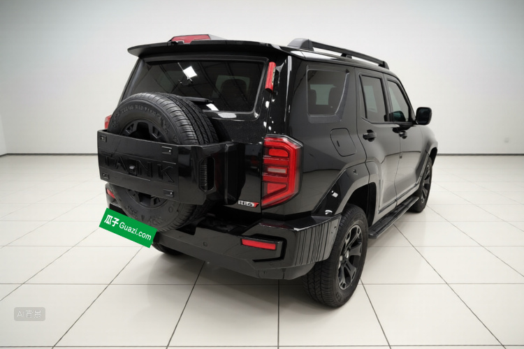 Tank 400 New Energy 2024 car image #7