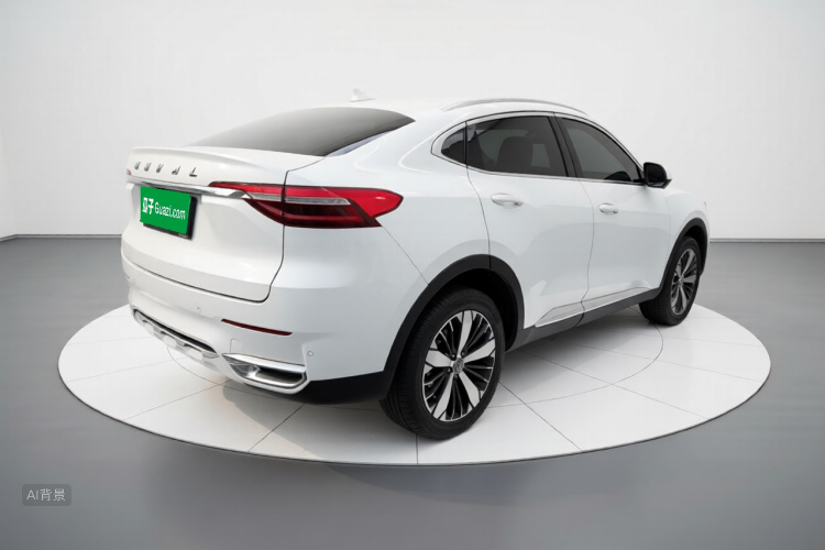 Haval F7x 2020 #7 Haval F7x 2020 car image #7