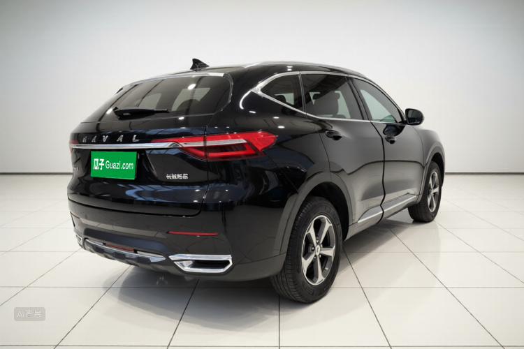 Haval F7 2019 car image #7