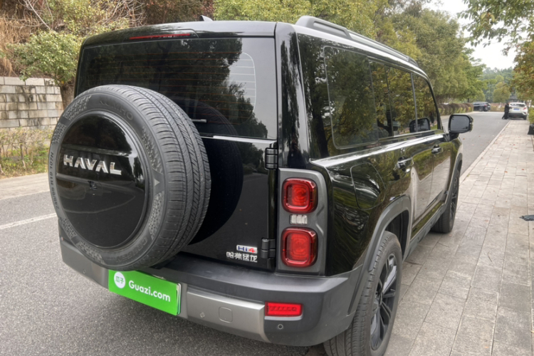 Haval Raptor New Energy 2023 car image #7