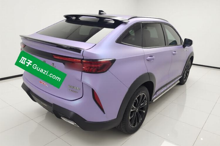 Haval H6S 2022 immagine di auto #7