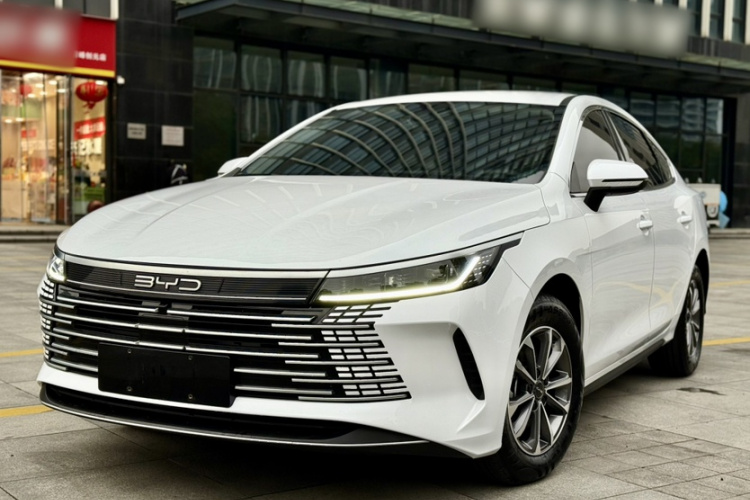 BYD Destroyer 05 2024 car image #7