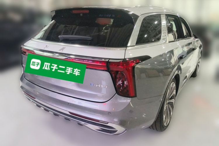 HongQi E-HS9 2023 car image #7