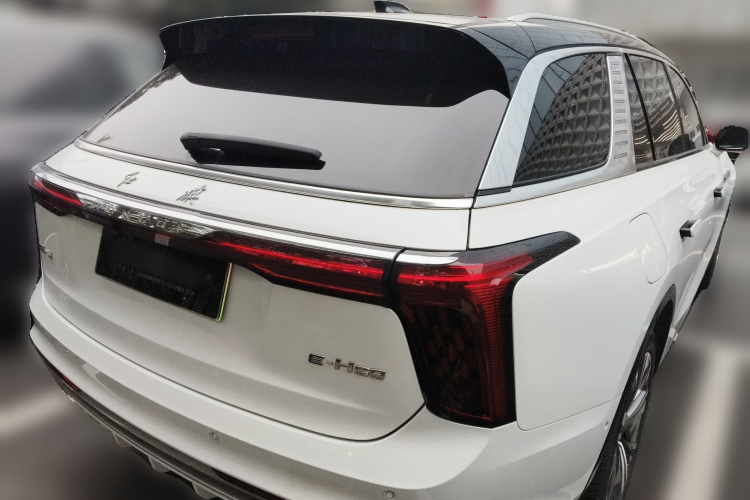 HongQi E-HS9 2023 imagem de carro #7