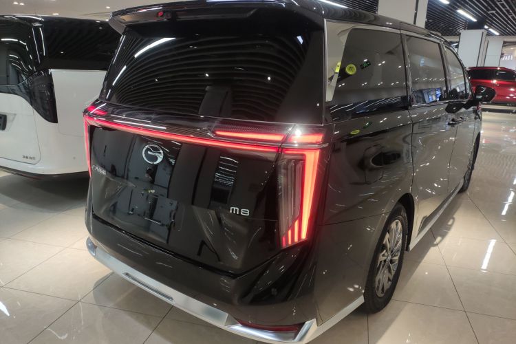 GAC Trumpchi Xiangwang M8 2025 car image #7