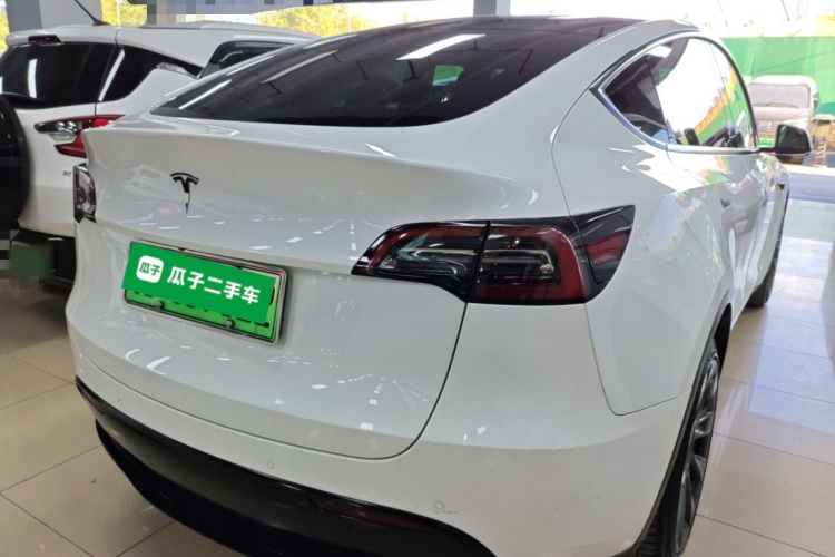 Tesla Model Y 2021 car image #7