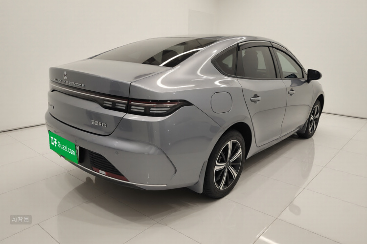 BYD Destroyer 05 2024 imagem de carro #7