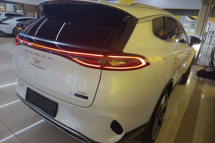 Denza X 2021 car image #7