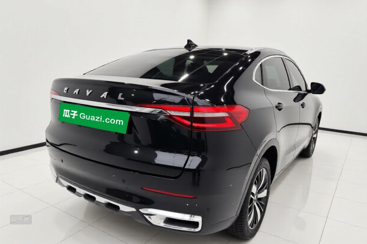 Haval F7x 2021 immagine di auto #7