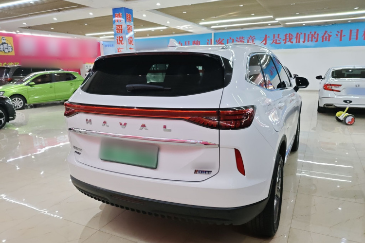 Haval H6 2022 car image #7