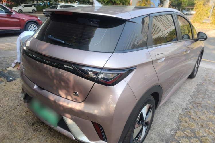 BYD Dolphin 2023 car image #7