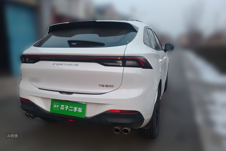 Forthing T5 EVO 2021 immagine di auto #7