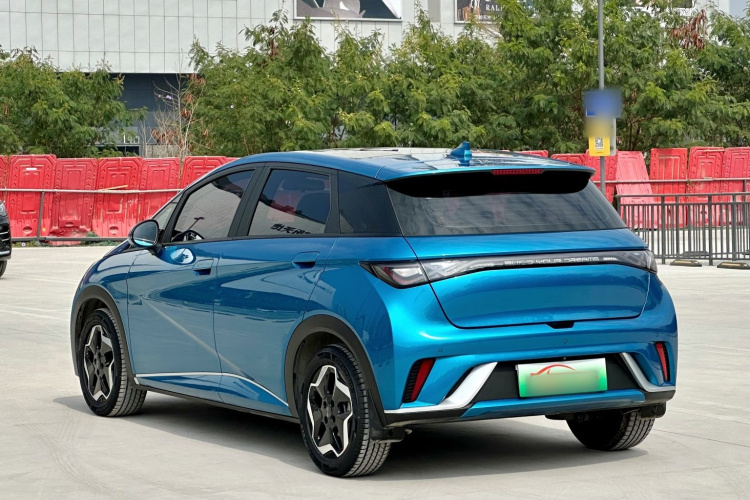 BYD Dolphin 2022 car image #7