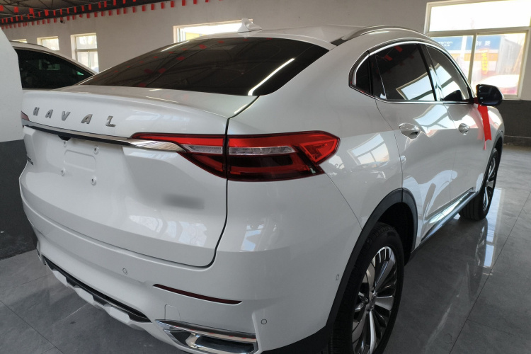 Haval F7x 2020 car image #7