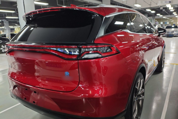 BYD Tang New Energy 2019 car image #7