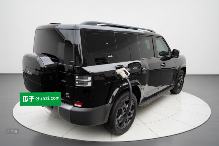 FangChengBao Tiger 7 2025 car image #7