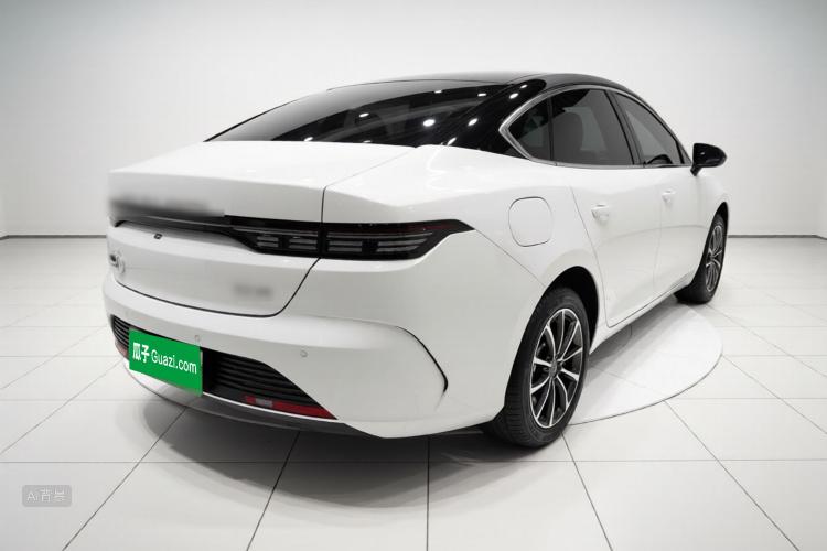 BYD Destroyer 05 2024 car image #7