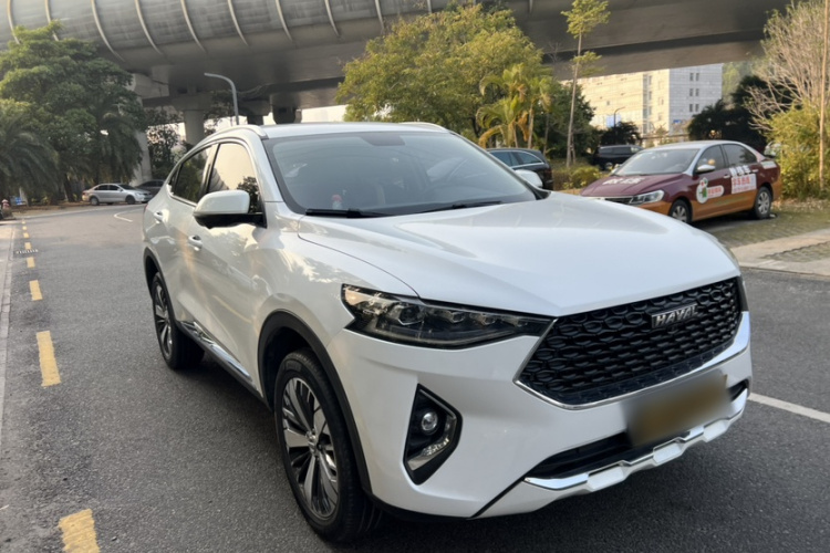 Haval F7x 2020 #7 Haval F7x 2020 immagine di auto #7