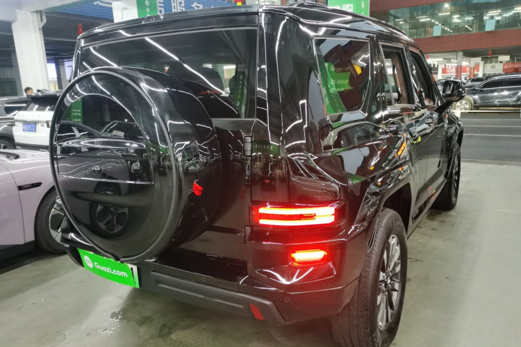 Tank 700 New Energy 2024 car image #7