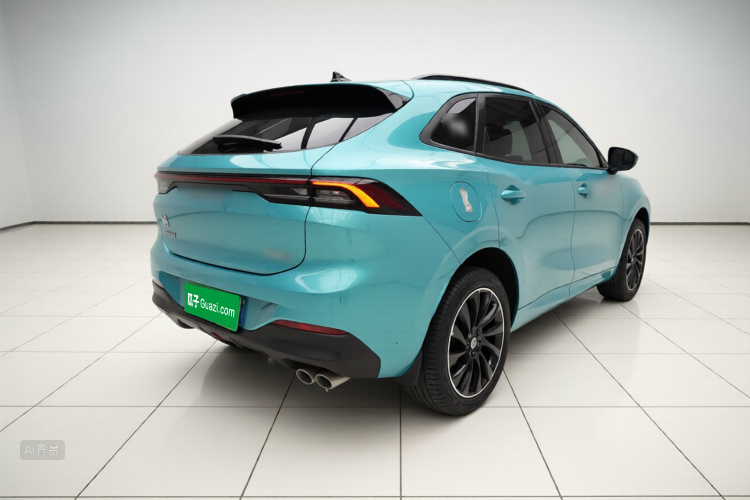 T5 EVO 2021 car image #7