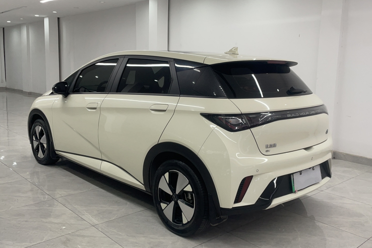 BYD Dolphin 2023 car image #7
