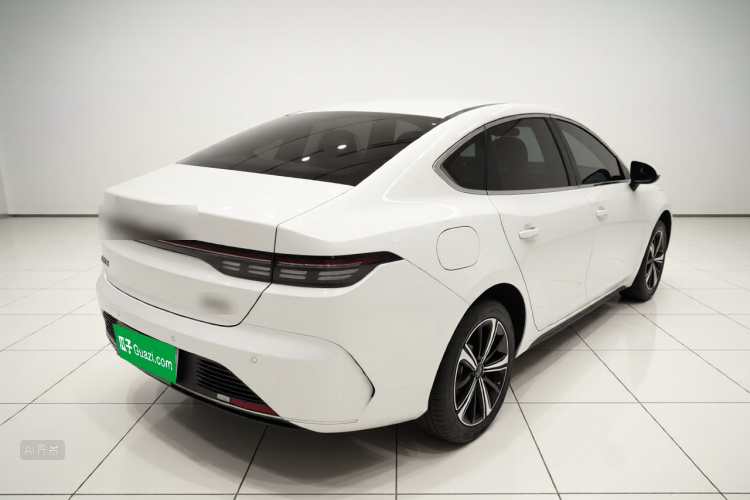 BYD Destroyer 05 2023 car image #7