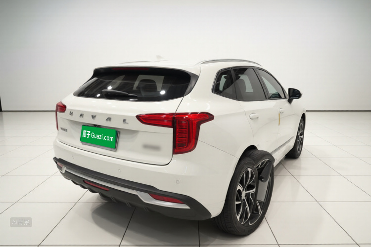 Haval Jolion 2021 car image #7