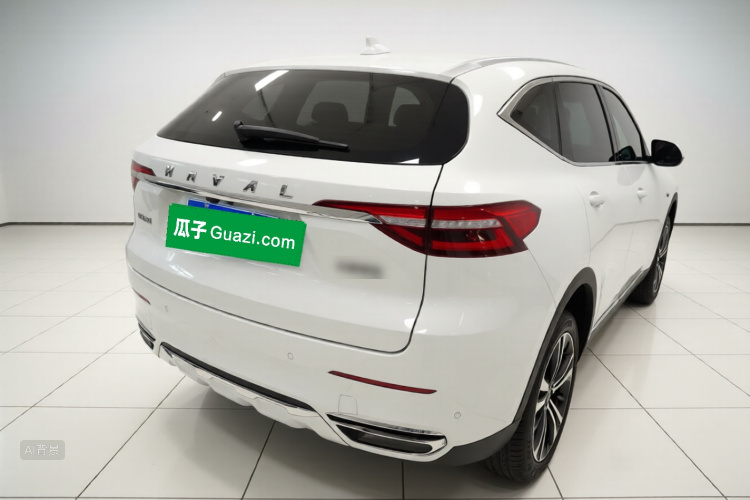 Haval F7 2020 car image #7