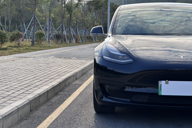 Tesla Model 3 2020 car image #7