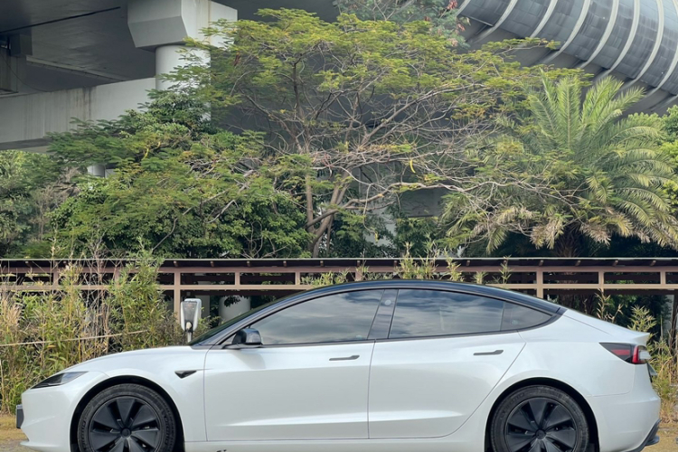 Tesla Model 3 2024 #7 Tesla Model 3 2024 car image #7