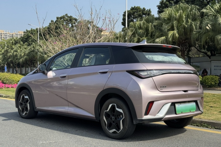 BYD Dolphin 2023 car image #7