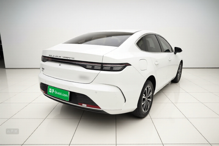 BYD Destroyer 05 2024 صورة سيارة #7