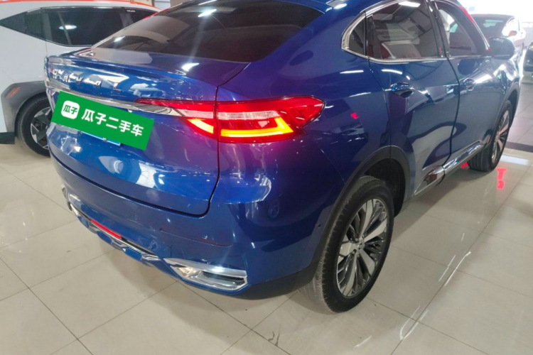 Haval F7x 2020 #7 Haval F7x 2020 car image #7