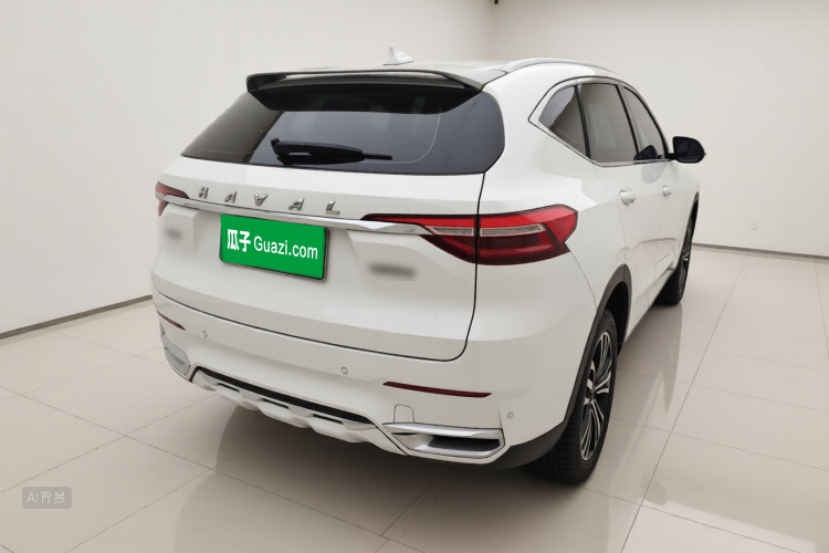 Haval 2019 #7 Haval 2019 car image #7