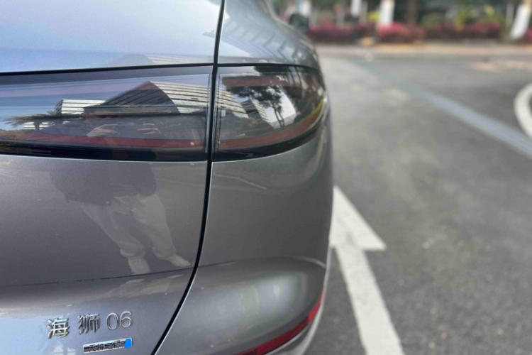 BYD Sea Lion 06 New Energy 2025 car image #7