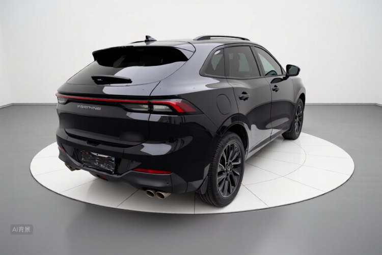 T5 EVO 2021 car image #7