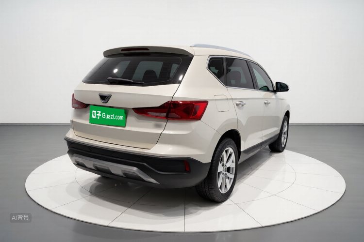 VS5 2019 car image #7