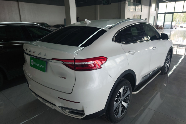 Haval F7x 2021 #7 Haval F7x 2021 car image #7