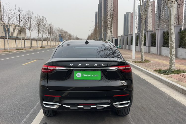 Haval F7x 2020 car image #7