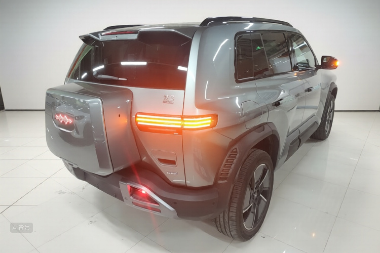 FangChengBao Tiger 3 2025 car image #7